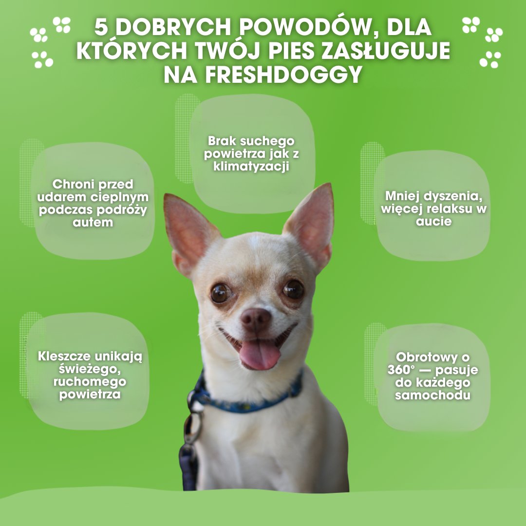 FreshDoggy™ - Travel gadget zwycięzca 2025