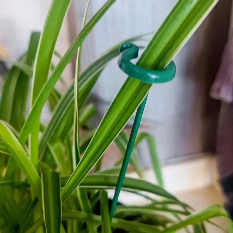 PlantGuard™ - Wytrzymałe podpórki do roślin - 5+5 GRATIS