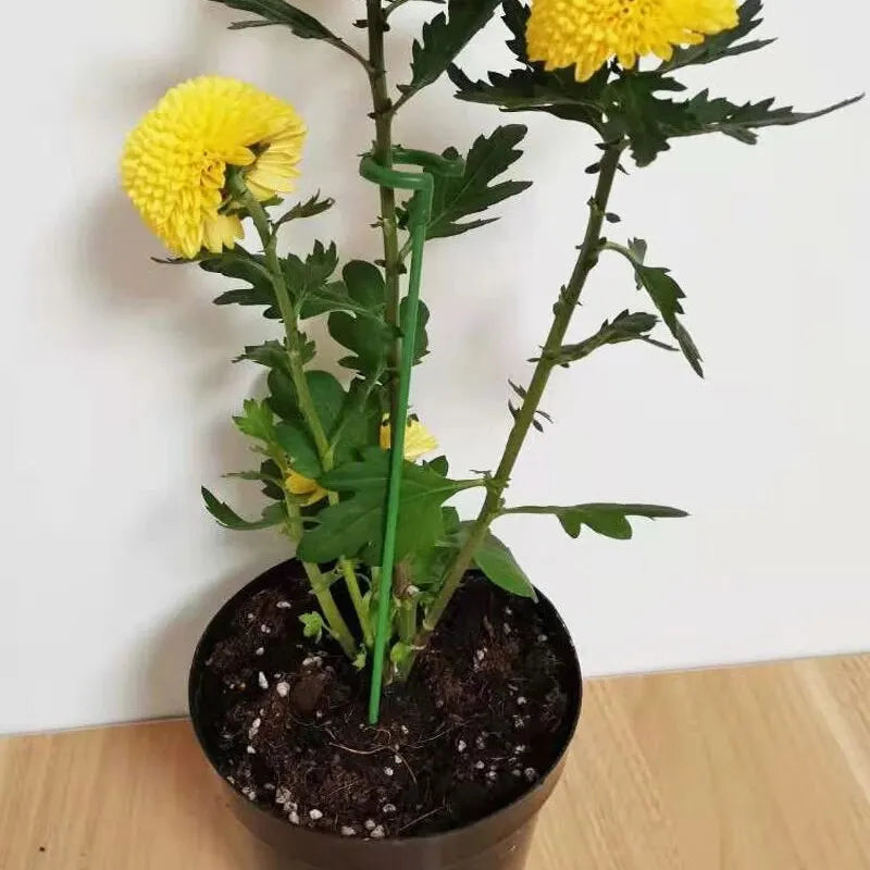 PlantGuard™ - Wytrzymałe podpórki do roślin - 5+5 GRATIS